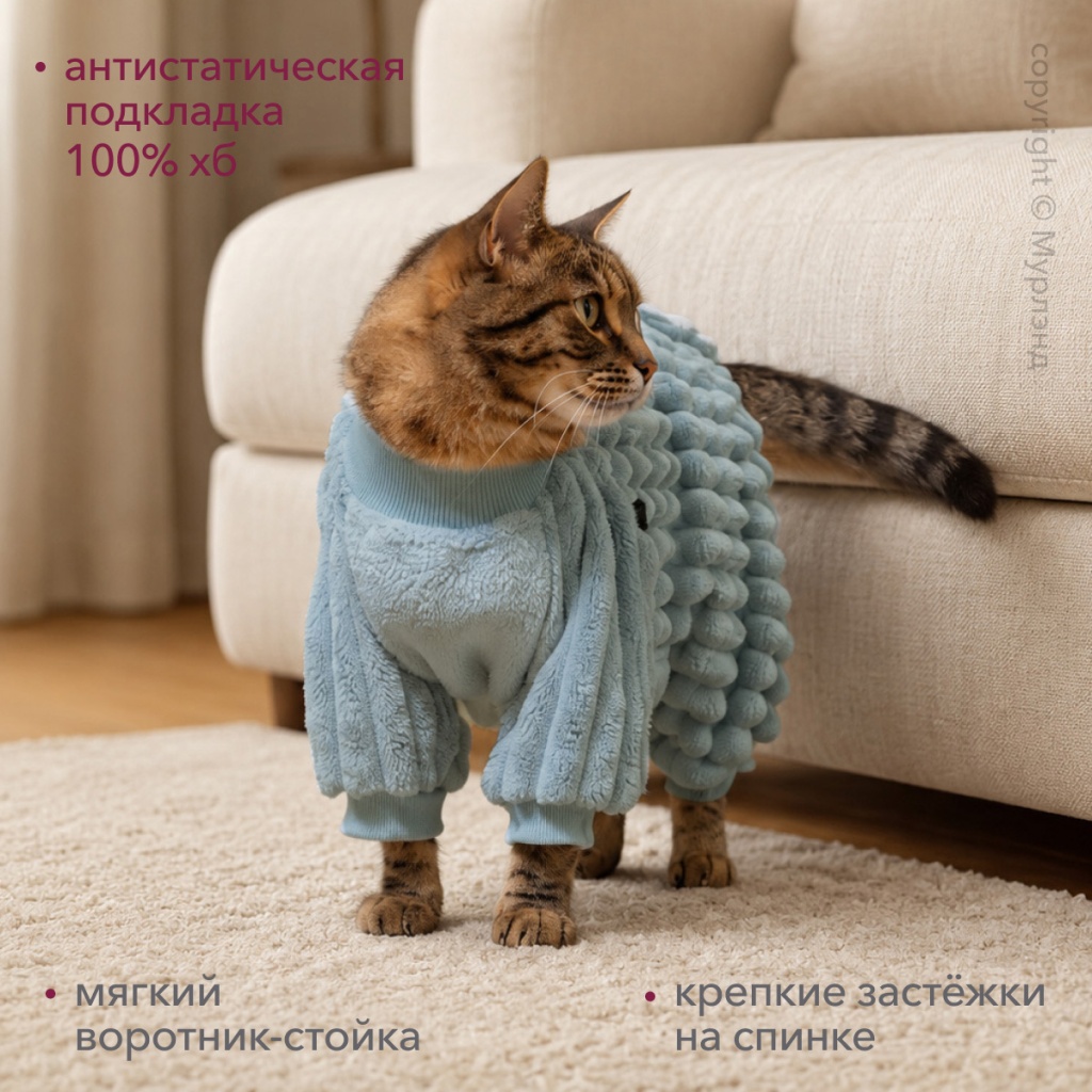 Теплая одежда для кошки