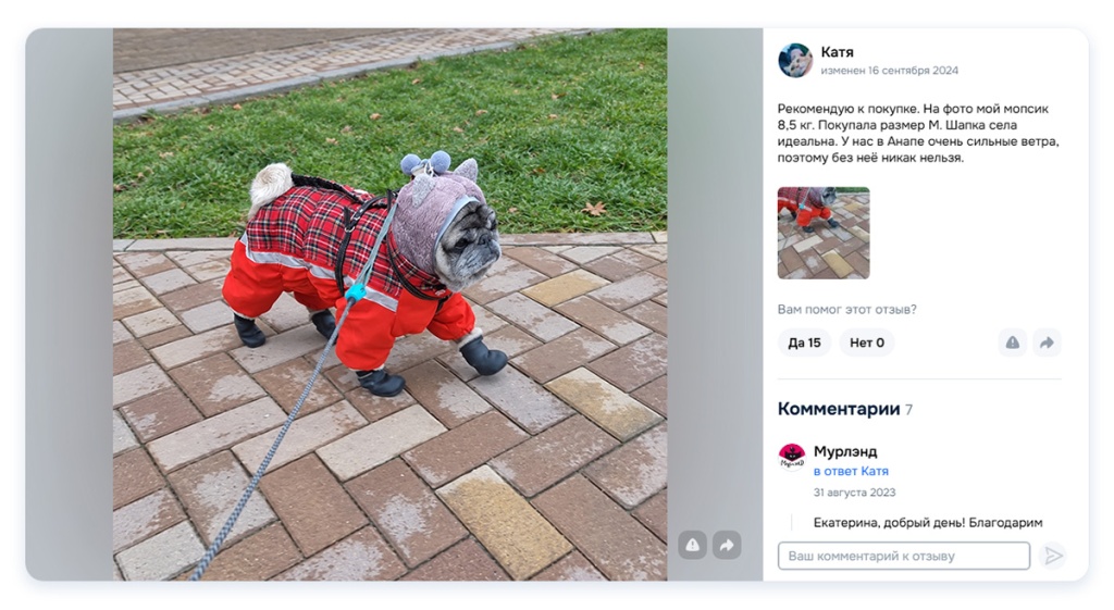 Зимняя шапка для небольшой собаки